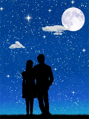 呆鸡儿是什么意思