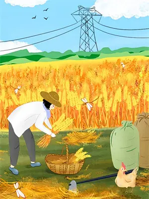 翘臀的作用是什么