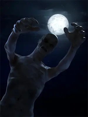 如云小说免费阅读全文